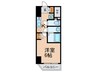 ｴｽﾃﾑｺｰﾄ心斎橋central(801) 1Kの間取り