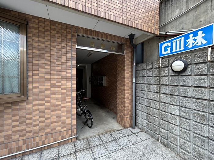 エントランス部分 ＧⅢ林