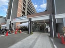 オーケー西宮北口(スーパー)まで739m ALEGRIA西宮津門