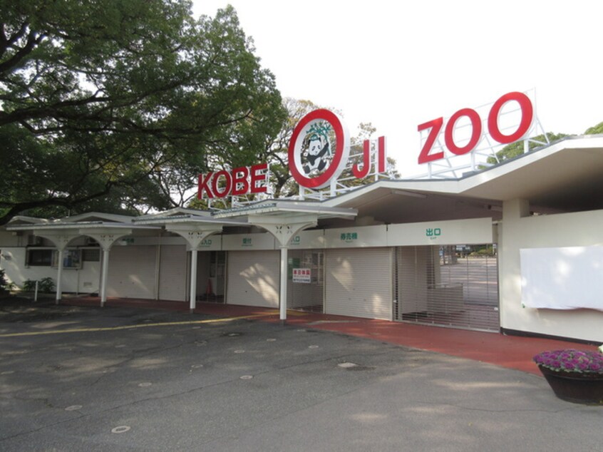 王子動物園(公園)まで355m サンリッチハイツ