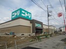 ニトリ(電気量販店/ホームセンター)まで450m ブランジーノ立花