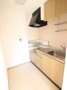 キッチン ｸﾞﾘｰﾝﾊｲﾂＭ