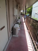 その他 シティ ヴィラ法然院