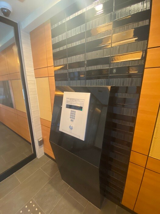 エントランス部分 ﾌﾟﾚｻﾝｽTHE KYOTO 彩美（307）