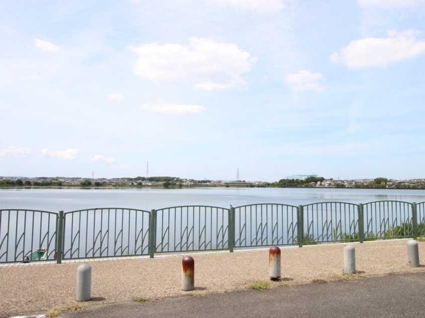 久米田池(公園)まで900m サンフォレスタ