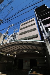 マホガニーコート