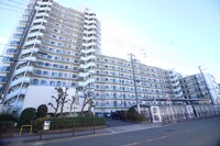 ｺｽﾓ･ｻﾞ･ﾊﾟｰｸｽｲｰｽﾄ1(413)