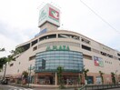 アルプラザ近江八幡店(スーパー)まで400m ロイヤルシャトーE棟