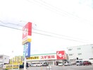 スギ薬局岸和田上松町店(ドラッグストア)まで550m 福本ハイツⅡ