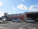 コノミヤ摂津店(スーパー)まで800m プリマベ－ラ摂津Ａ