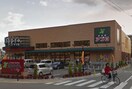 食品館アプロ新森店(スーパー)まで240m フォレストスクエア