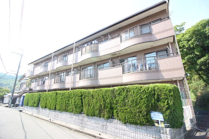 外観写真 チェリ－コ－ト