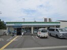 ファミリーマート門真桑才店(コンビニ)まで308m GOTTS門真南