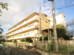 ルーインズ林