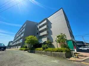サン・マキシマム（501）