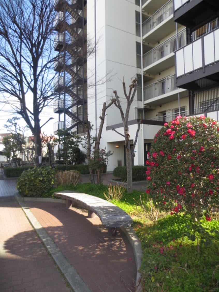 エントランス部分 クロ－バ－ハイツ市岡(602)