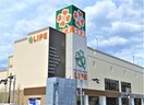 ライフ 夙川店(スーパー)まで650m 北村タウンハウス