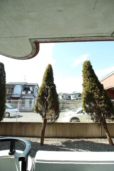 室内からの展望 Ｏrchid court