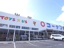 コーナン(電気量販店/ホームセンター)まで1100m 日宝アドニス塩屋