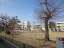 永田公園(公園)まで215m フジパレス城東永田