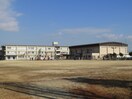 八幡市立中央小学校(小学校)まで326m MAYUMIハウス322号館小松