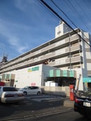 ジャンボ(スーパー)まで434m ＤＳ羽衣