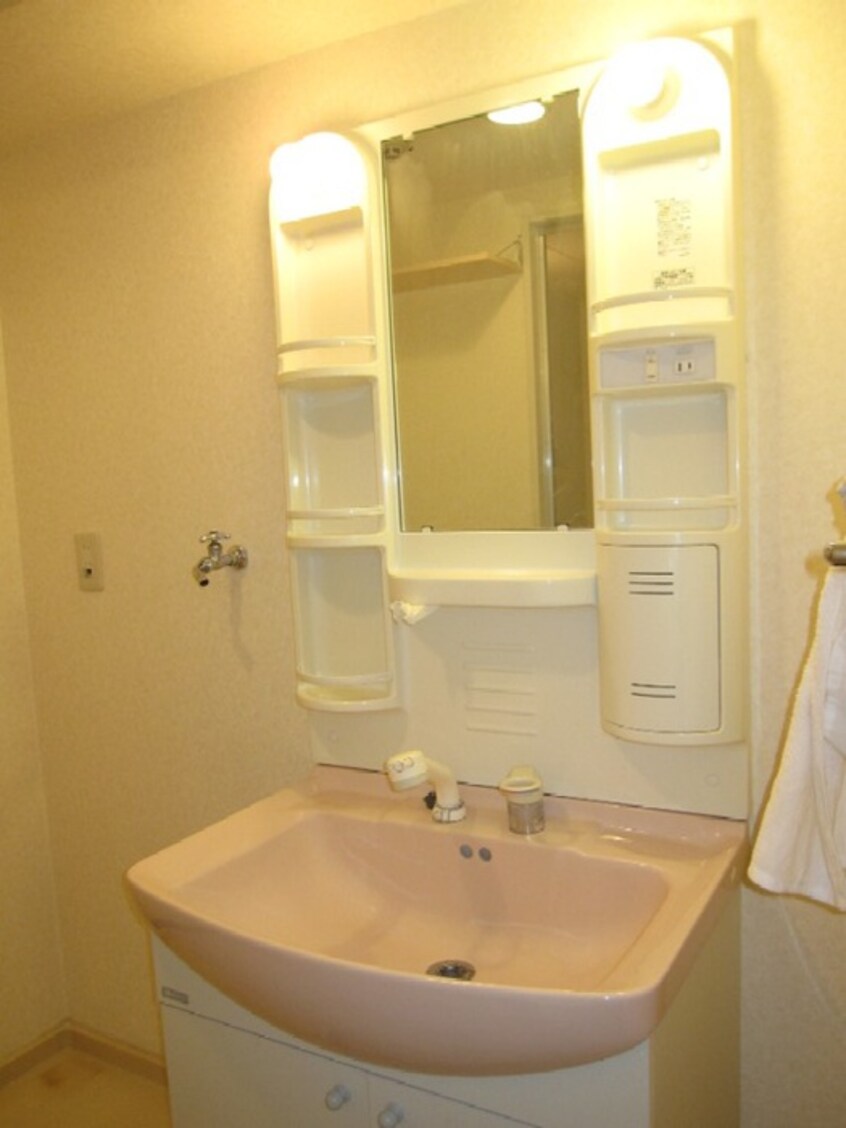 洗面 バルカポンテ