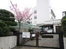 本山南中学校(中学校/中等教育学校)まで424m ステラ田中町