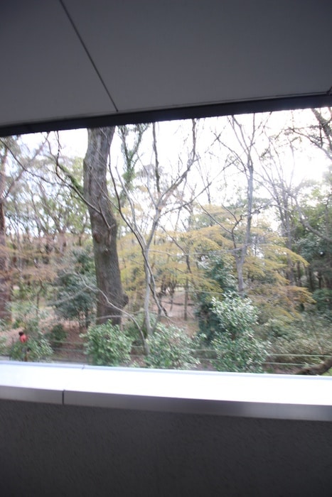 室内からの展望 フォ－レフジタ