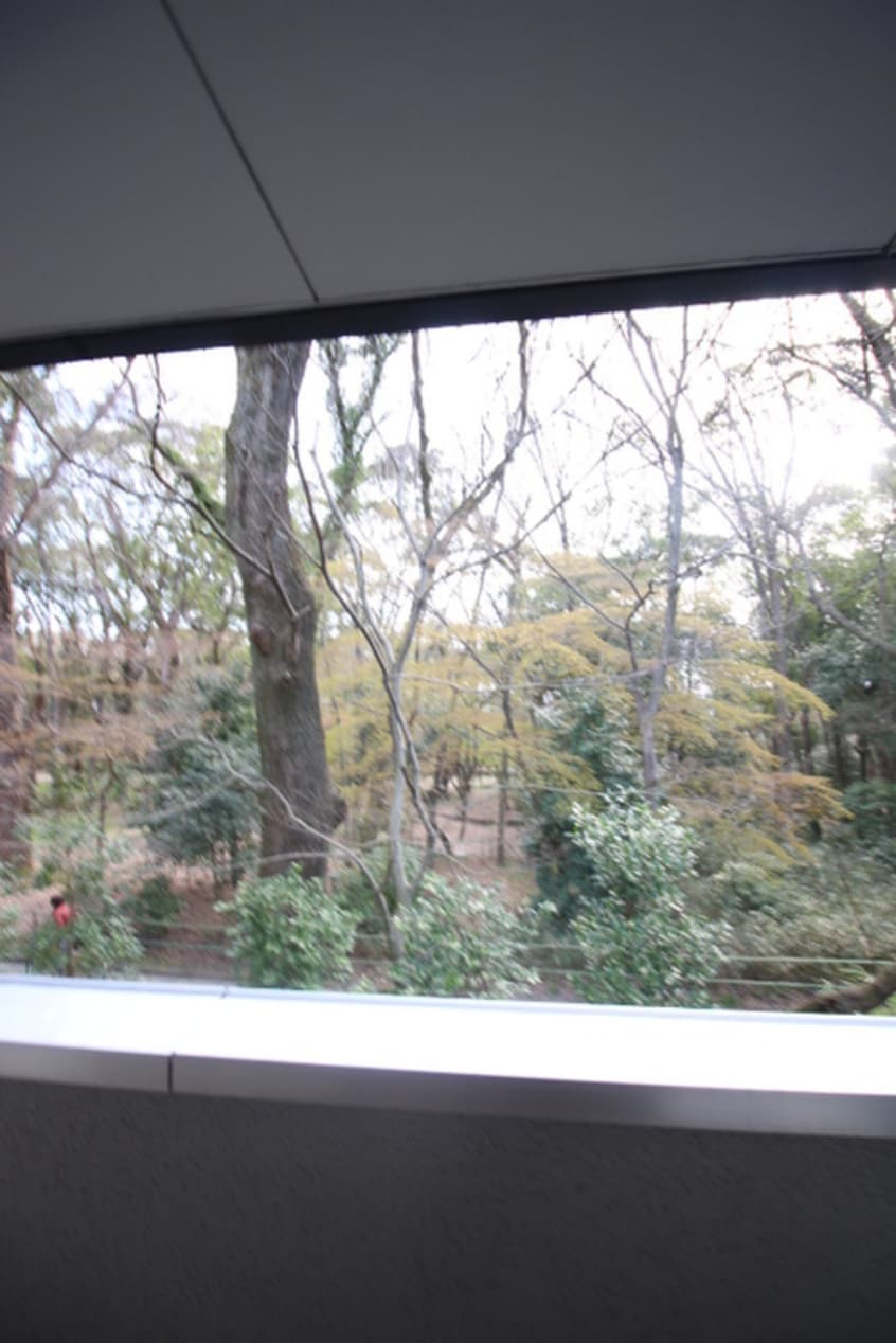 室内からの展望 フォ－レフジタ