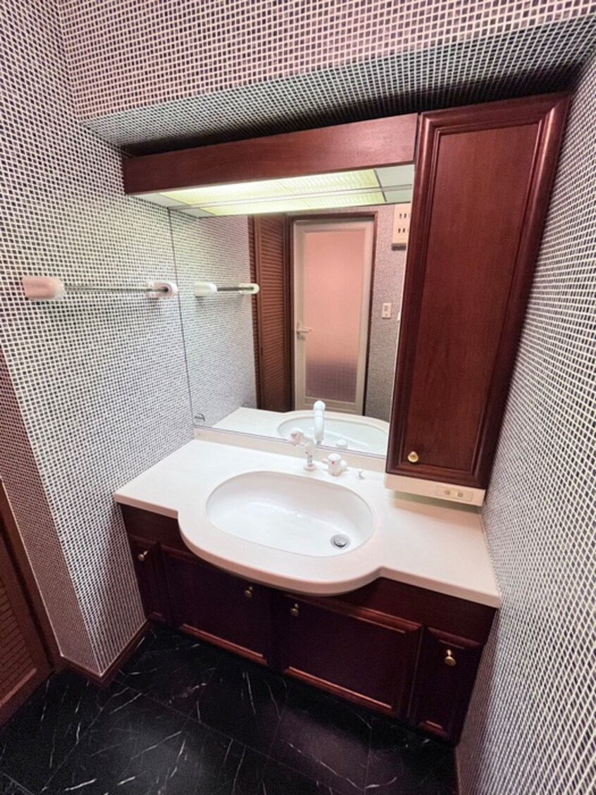 洗面 メロディーハイム二条城(604)