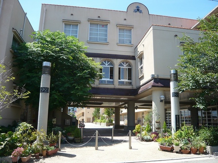 大社小学校(小学校)まで400m パセオ越水