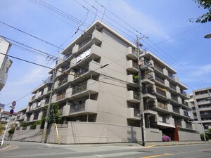 ｸﾞﾘｰﾝｺｰﾎﾟ緑地公園第2(209)