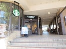 スターバックス(カフェ)まで680m 山川ハイツ
