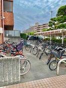 駐輪場 メゾンドヴィオレット