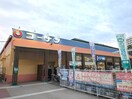 コーナン(電気量販店/ホームセンター)まで481m コージー千島