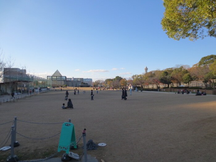 天王寺公園(公園)まで560m Ｓパレス天王寺