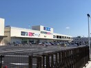 コーナン(電気量販店/ホームセンター)まで750m 松本文化