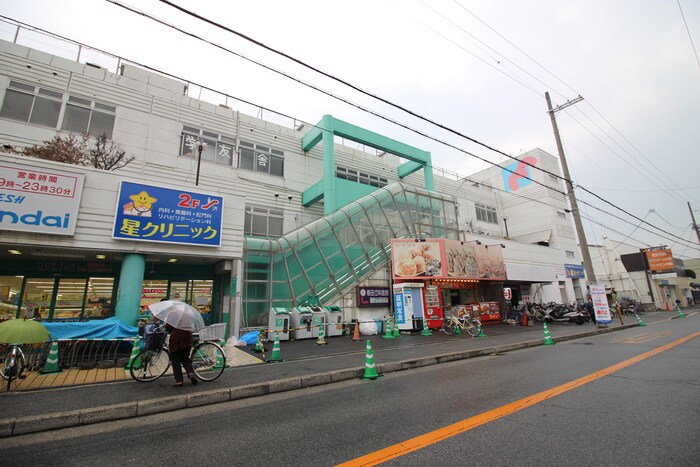 マンダイ(スーパー)まで570m フジパレス堺老松町Ⅲ番館