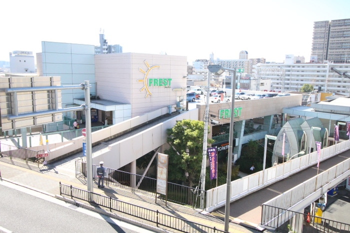 フレスト(スーパー)まで1000m グリ－ンキャッスル稲田