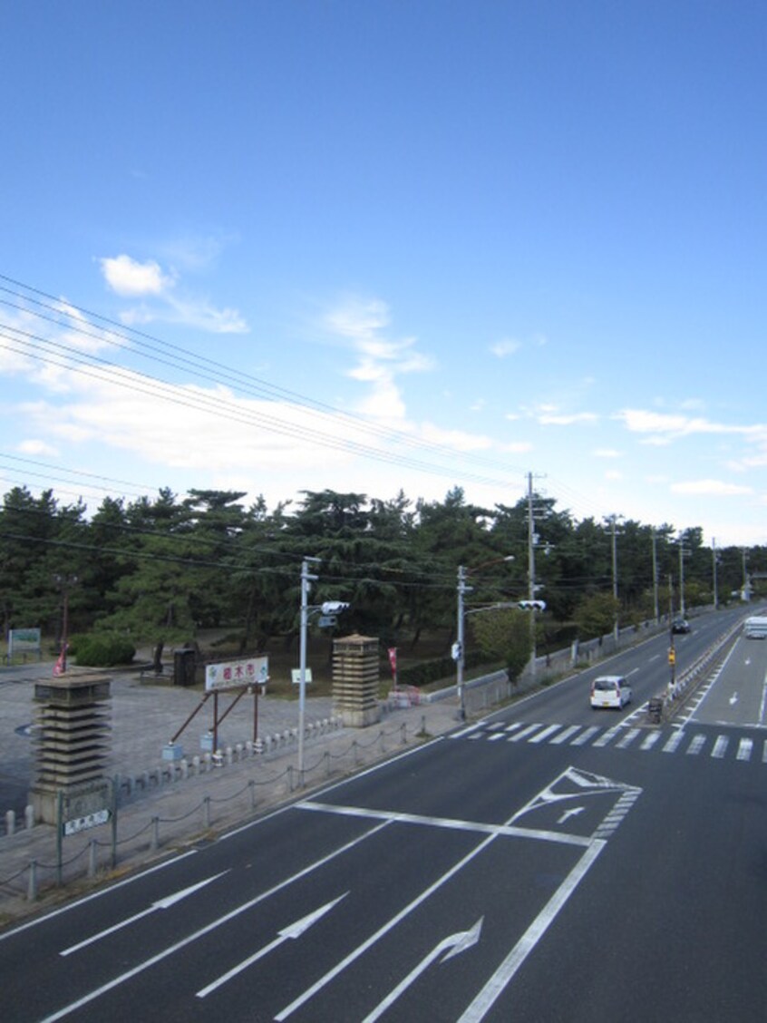 浜寺公園(公園)まで1070m サニーフラット