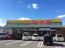 ジャパン(ディスカウントショップ)まで700m パルレ－ヴ