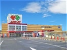 サンエー(スーパー)まで435m 岡山ハイツ