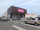 コスモス(ドラッグストア)まで240m Ｌｏｂｅｌｉａ　ｃｏｕｒｔ
