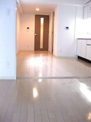 居室 レジディア心斎橋ウエスト