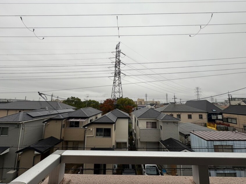 室内からの展望 春荘館花水木