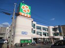 ライフ(スーパー)まで187m リバティー堀内