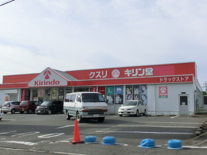 キリン堂(ドラッグストア)まで573m セイバリーブリーズ