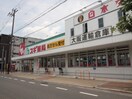 スギ薬局(ドラッグストア)まで260m エクセレンス