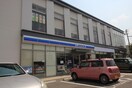 ローソン(コンビニ)まで750m エクセレンス